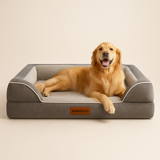 Leisure Dog Orthopedic Bed, Cute Calming Bed